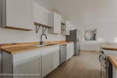 253 Surrey Street, Carbondale, CO 81623 - Photo 10