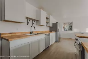 253 Surrey St, Carbondale, CO 81623 - Photo 10