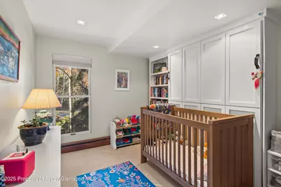 910 W Hallam Street #Unit 11, Aspen, CO 81611 - Photo 10