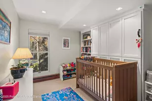 910 W Hallam St, Aspen, CO 81611 - Photo 10