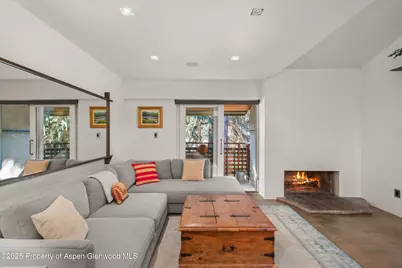 910 W Hallam Street #Unit 11, Aspen, CO 81611 - Photo 2