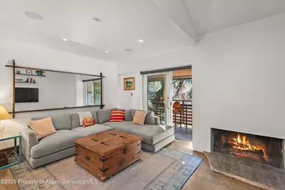 910 W Hallam Street #Unit 11, Aspen, CO 81611 - Photo 4