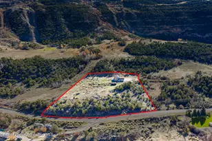 54043 Hwy 330, Collbran, CO 81624 - Photo 28