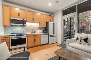 434 E Main St, Aspen, CO 81611 - Photo 4