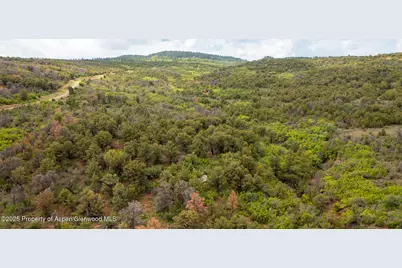 18975 Elk Rserve Road, Glade Park, CO 81523 - Photo 8