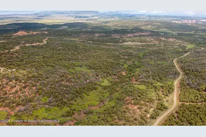 18975 Elk Rserve Road, Glade Park, CO 81523 - Photo 4