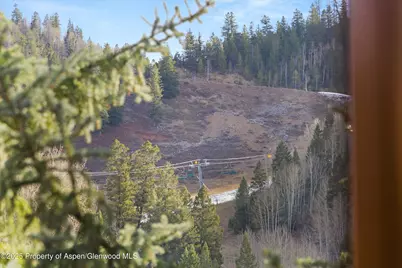 315 E Dean Street #B65, Aspen, CO 81611 - Photo 24