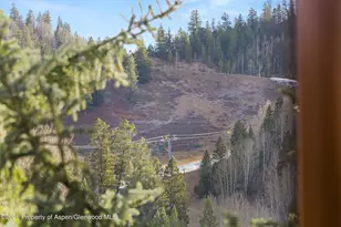 315 E Dean St, Aspen, CO 81611 - Photo 24
