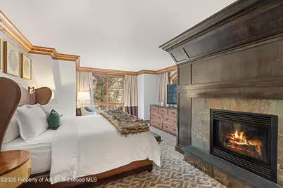 315 E Dean Street #B65, Aspen, CO 81611 - Photo 12