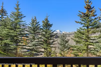 229 Faraway Road #35, Snowmass Village, CO 81615 - Photo 12