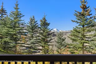 229 Faraway Rd, Snowmass Village, CO 81615 - Photo 12