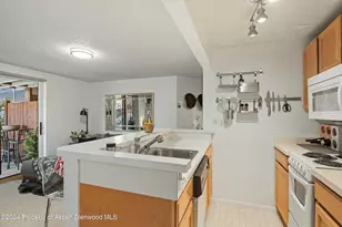 119 E Cooper Ave, Aspen, CO 81611 - Photo 6