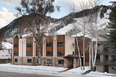 119 E Cooper Avenue #5, Aspen, CO 81611 - Photo 18
