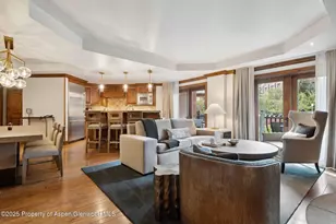 415 E Dean St Unit 38 Week 33, Aspen, CO 81611 - Photo 4