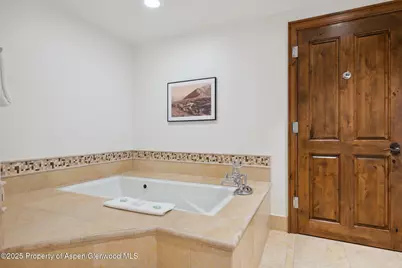 415 E Dean St, Unit 38, Week 33, Aspen, CO 81611 - Photo 14