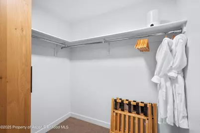 119 Wood Road #101, Snowmass Village, CO 81615 - Photo 18