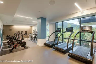 119 Wood Road #101, Snowmass Village, CO 81615 - Photo 28