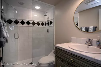 800 E Hopkins Avenue #A-1, Aspen, CO 81611 - Photo 12