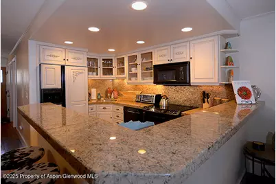 800 E Hopkins Avenue #A-1, Aspen, CO 81611 - Photo 1