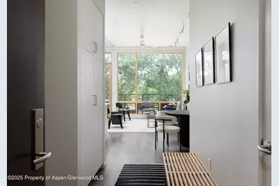 104 Evans Road #207, Basalt, CO 81621 - Photo 2