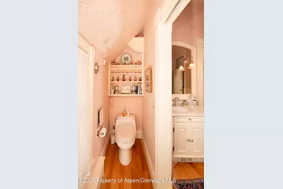 715 W Smuggler Street, Aspen, CO 81611 - Photo 14
