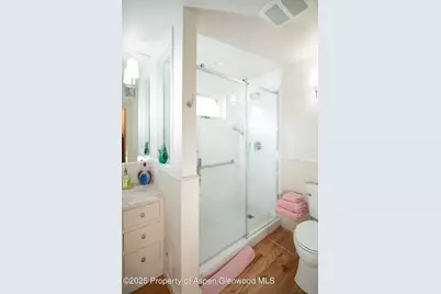 715 W Smuggler Street, Aspen, CO 81611 - Photo 16