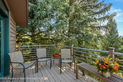 15 Terrace Drive, Snowmass Village, CO 81615 - Photo 24