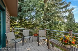 15 Terrace Dr, Snowmass Village, CO 81615 - Photo 24