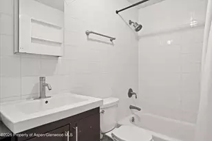 425 Park Cir, Aspen, CO 81611 - Photo 4