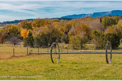 240 Lafrenz Circle, Silt, CO 81652 - Photo 30