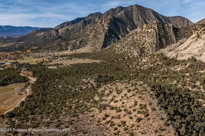 240 Lafrenz Circle, Silt, CO 81652 - Photo 44