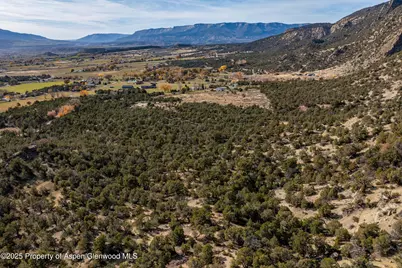 240 Lafrenz Circle, Silt, CO 81652 - Photo 46