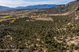 240 Lafrenz Cir, Silt, CO 81652 - Photo 46