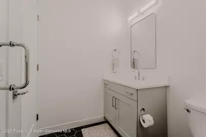 220 E Lewis Lane, Basalt, CO 81621 - Photo 46