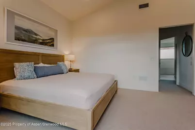 220 E Lewis Lane, Basalt, CO 81621 - Photo 28