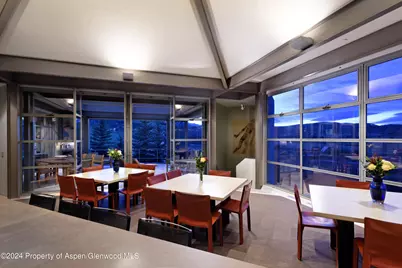 821 Cluny Road, Aspen, CO 81611 - Photo 10