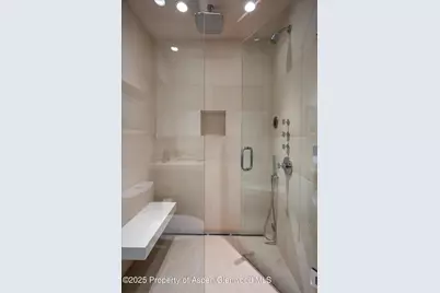 155 Lone Pine Road #12, Aspen, CO 81611 - Photo 28