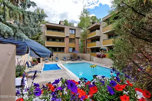 1020 E Hopkins Ave, Aspen, CO 81611 - Photo 22