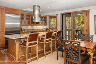 1020 E Hopkins Ave, Aspen, CO 81611 - Photo 10