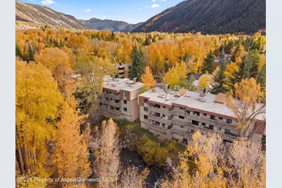 1020 E Hopkins Avenue #9, Aspen, CO 81611 - Photo 20