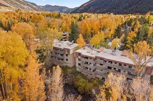 1020 E Hopkins Ave, Aspen, CO 81611 - Photo 20