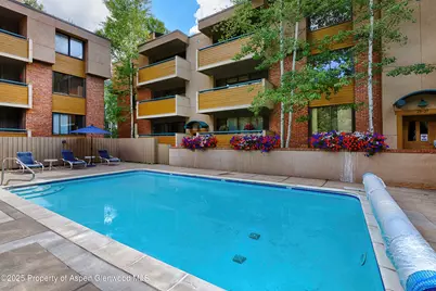 1020 E Hopkins Avenue #9, Aspen, CO 81611 - Photo 24