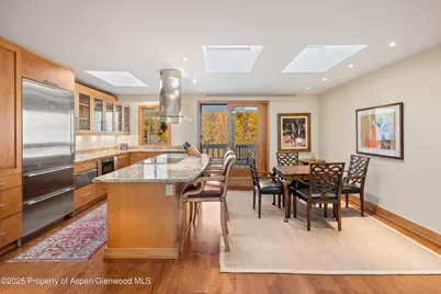 1020 E Hopkins Avenue #9, Aspen, CO 81611 - Photo 8