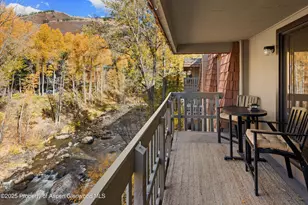 1020 E Hopkins Ave, Aspen, CO 81611 - Photo 16