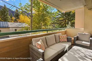 1020 E Hopkins Ave, Aspen, CO 81611 - Photo 18