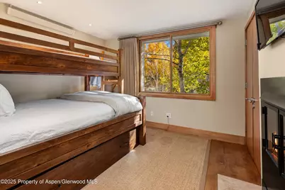1020 E Hopkins Avenue #9, Aspen, CO 81611 - Photo 14