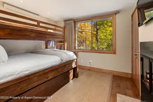 1020 E Hopkins Ave, Aspen, CO 81611 - Photo 14