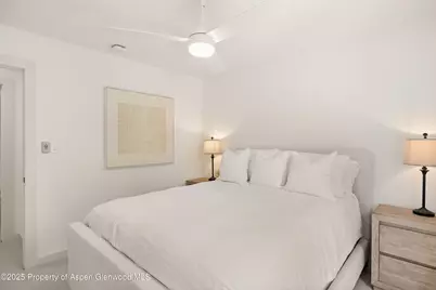 814 W Bleeker Street #B2, Aspen, CO 81611 - Photo 10