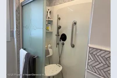 110 Floyd, ElJebel, CO 81623 - Photo 14