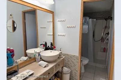 110 Floyd, ElJebel, CO 81623 - Photo 12